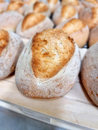 panini senza glutine