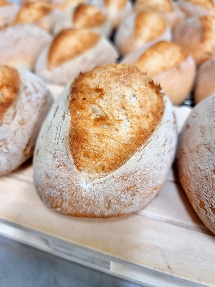 panini senza glutine